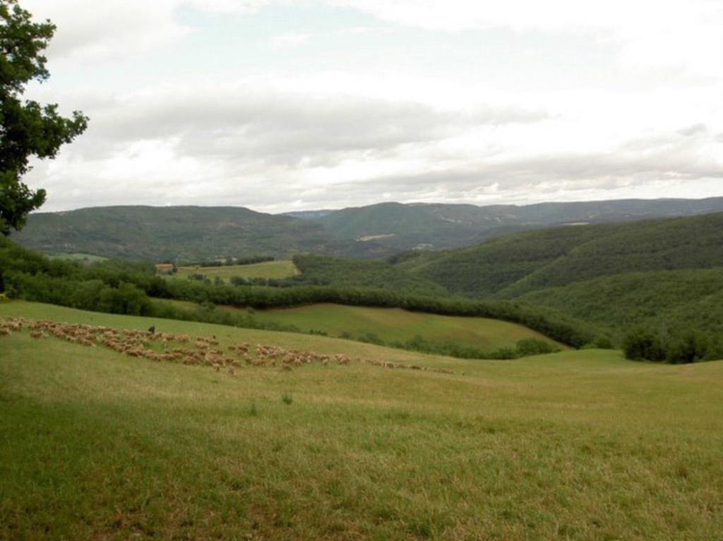 Gite L'Oustal Occitan A Saint-Juery Villa Exteriör bild